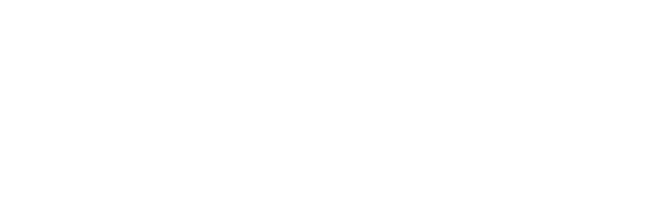 Angie Biz Lists