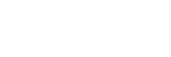 Local Business Citation Bits