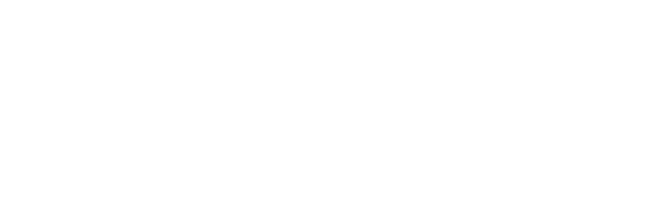 The Local Biz Directory