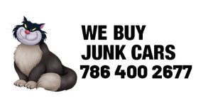 Junk Car Cat Miami