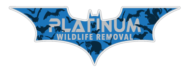 Platinum Wildlife Removal