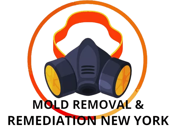 Mold Removal & Remediation New York