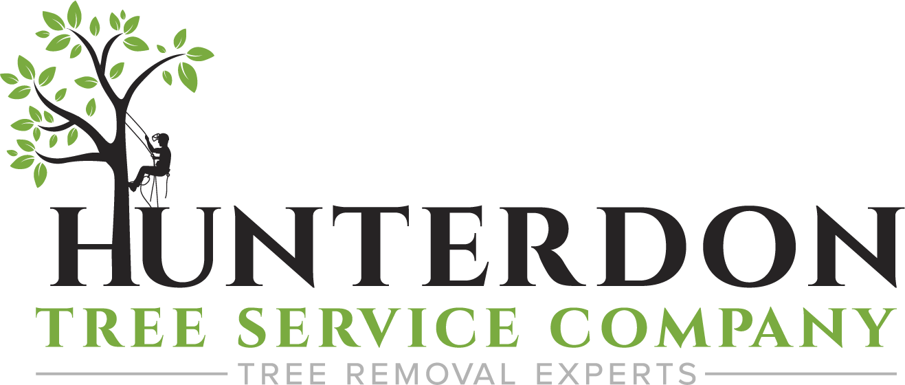 Hunterdon Tree Service Company