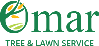 Omar Tree Service LLC