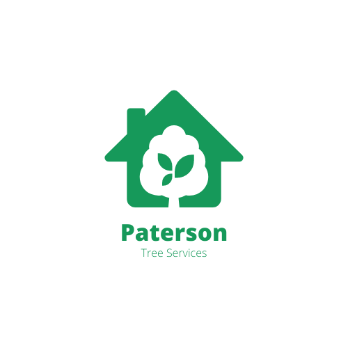 Tree Service Paterson