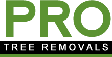 Pro Tree Removal Brisbane