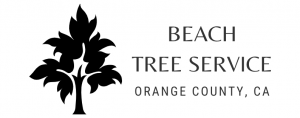 Beach Tree Service