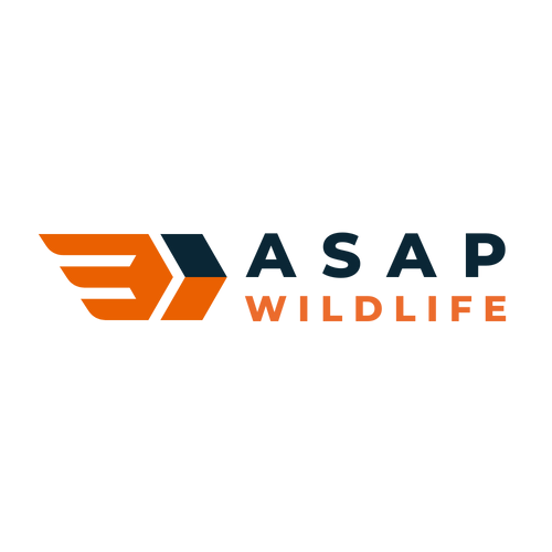 ASAP Wildlife Removal West Houston