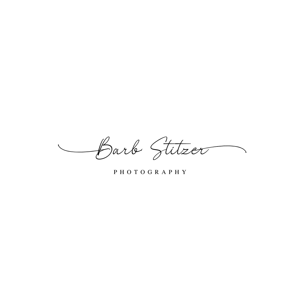 Barb-Stitzer-Photography-Logo.png