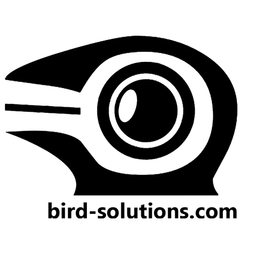 Bird - Real Estate Photography, 3D Tours & Drone Services