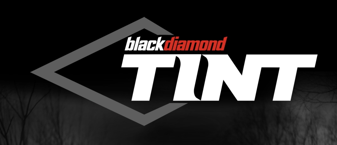 Black-Widow-Tint-Logo.jpg