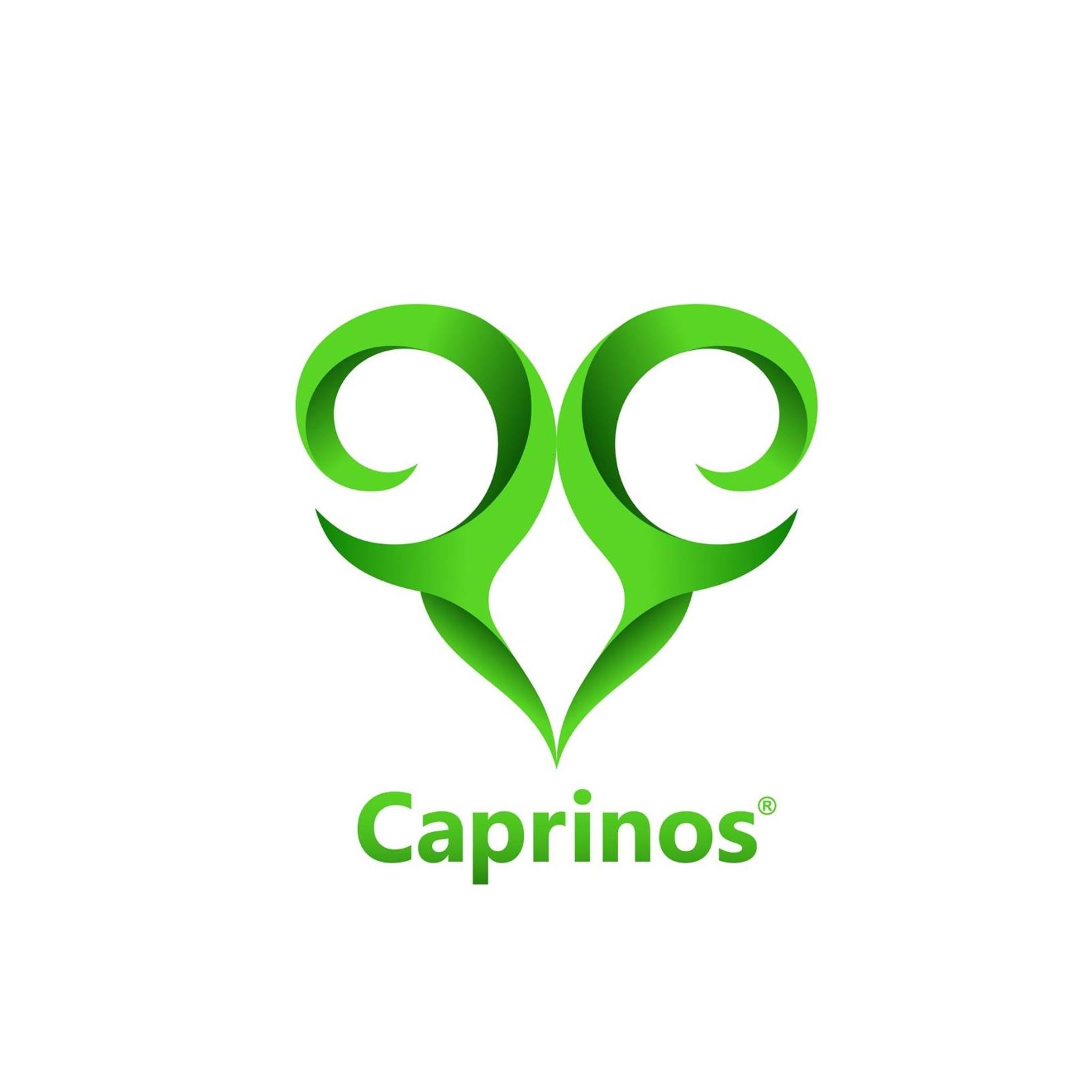 Caprinos Pizza Coventry