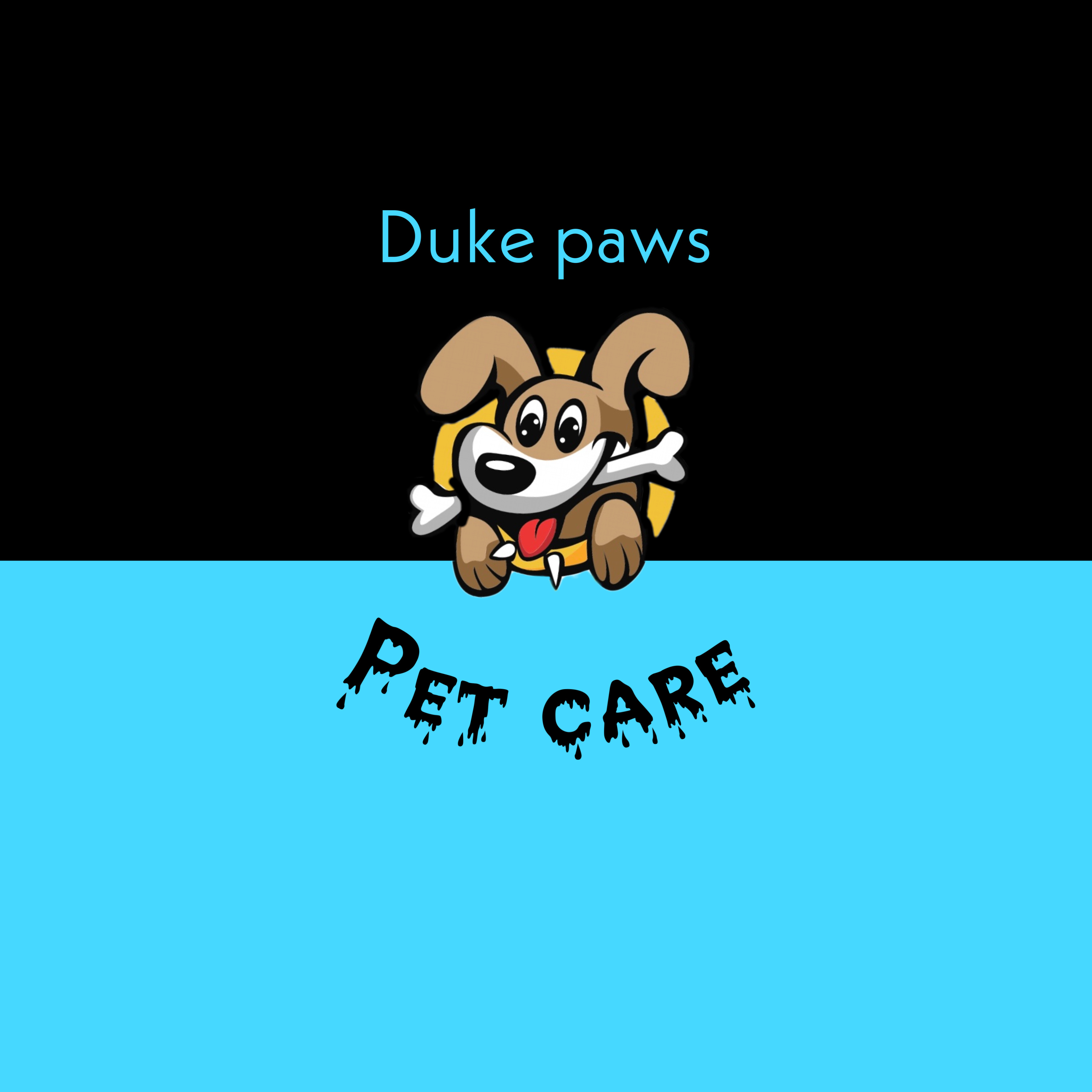 Duke Paws - dog walker & pet sitter