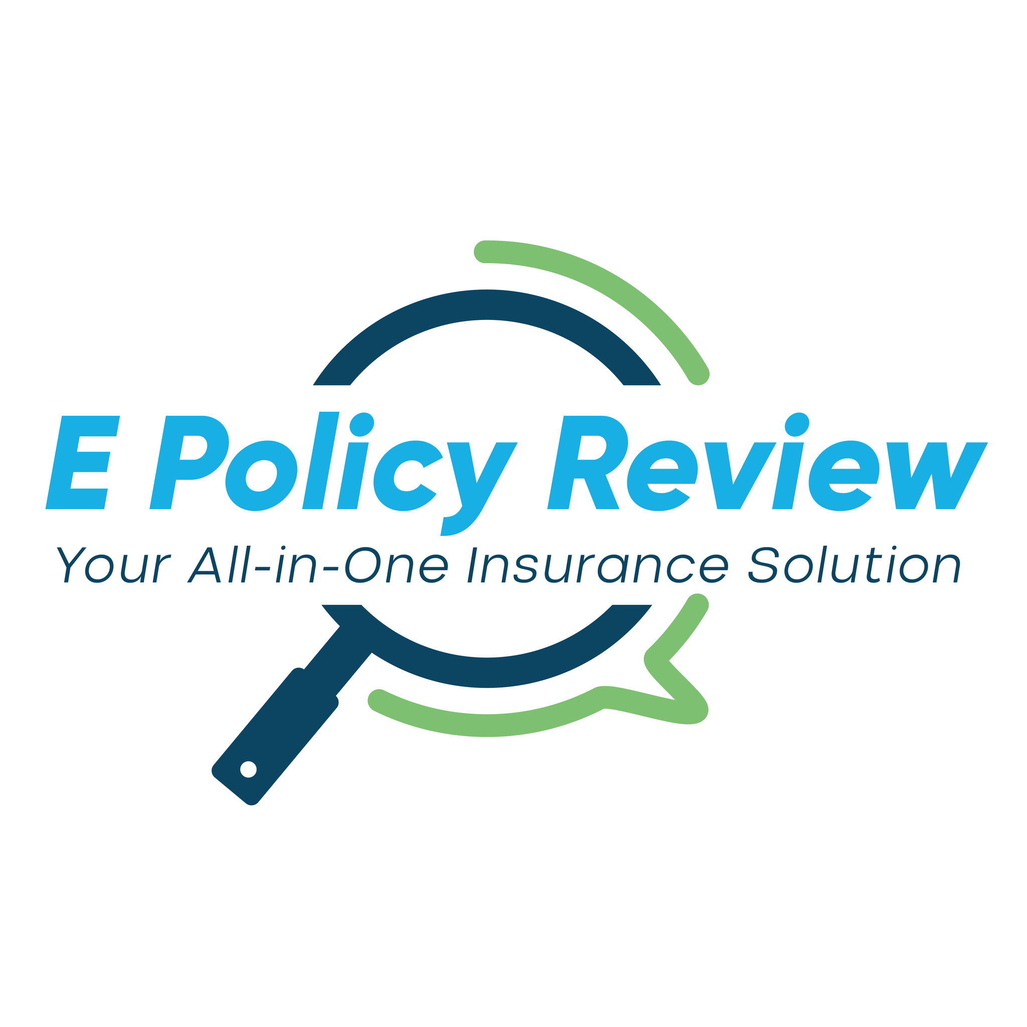 E Policy Review