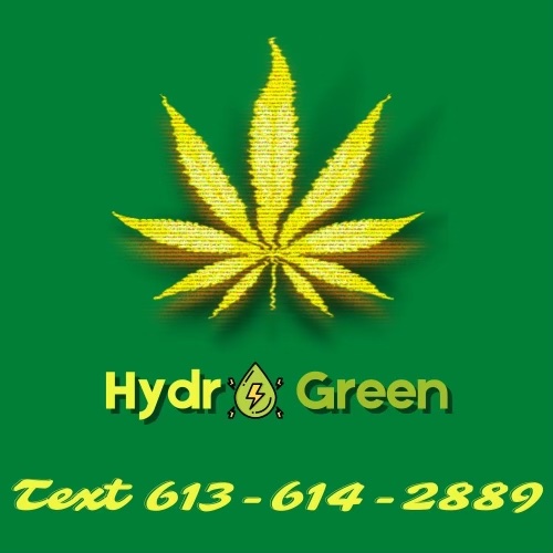 Hydro Green Cannabis Delivery