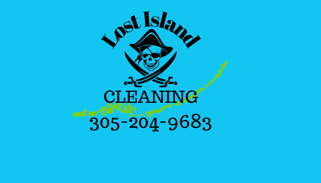 LOST ISLAND MOBILE CLEANING & DETAILING