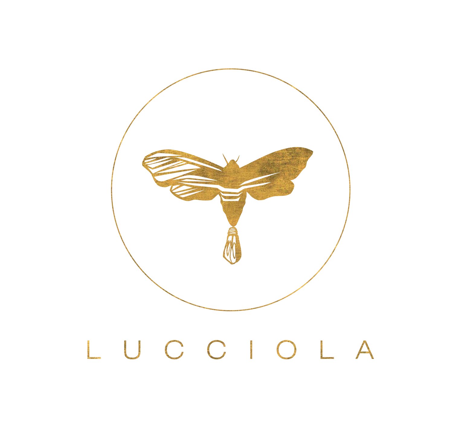 Lucciola