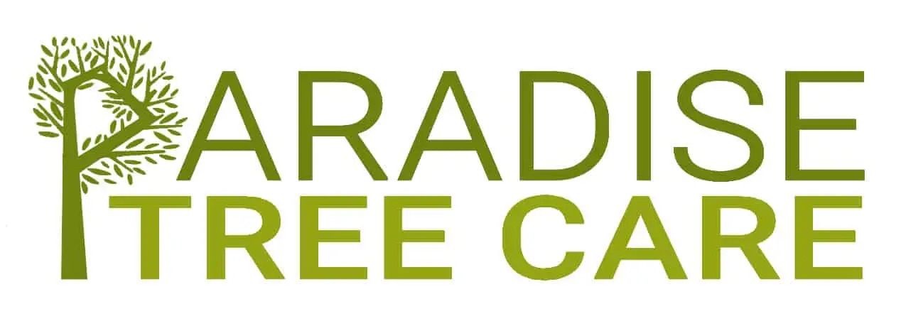 Paradise-Tree-Surgeons-Blackheath-Logo.webp