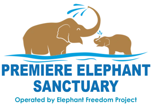 cropped-cropped-Premiere-Elephant-Sanctuary-Logo-.webp