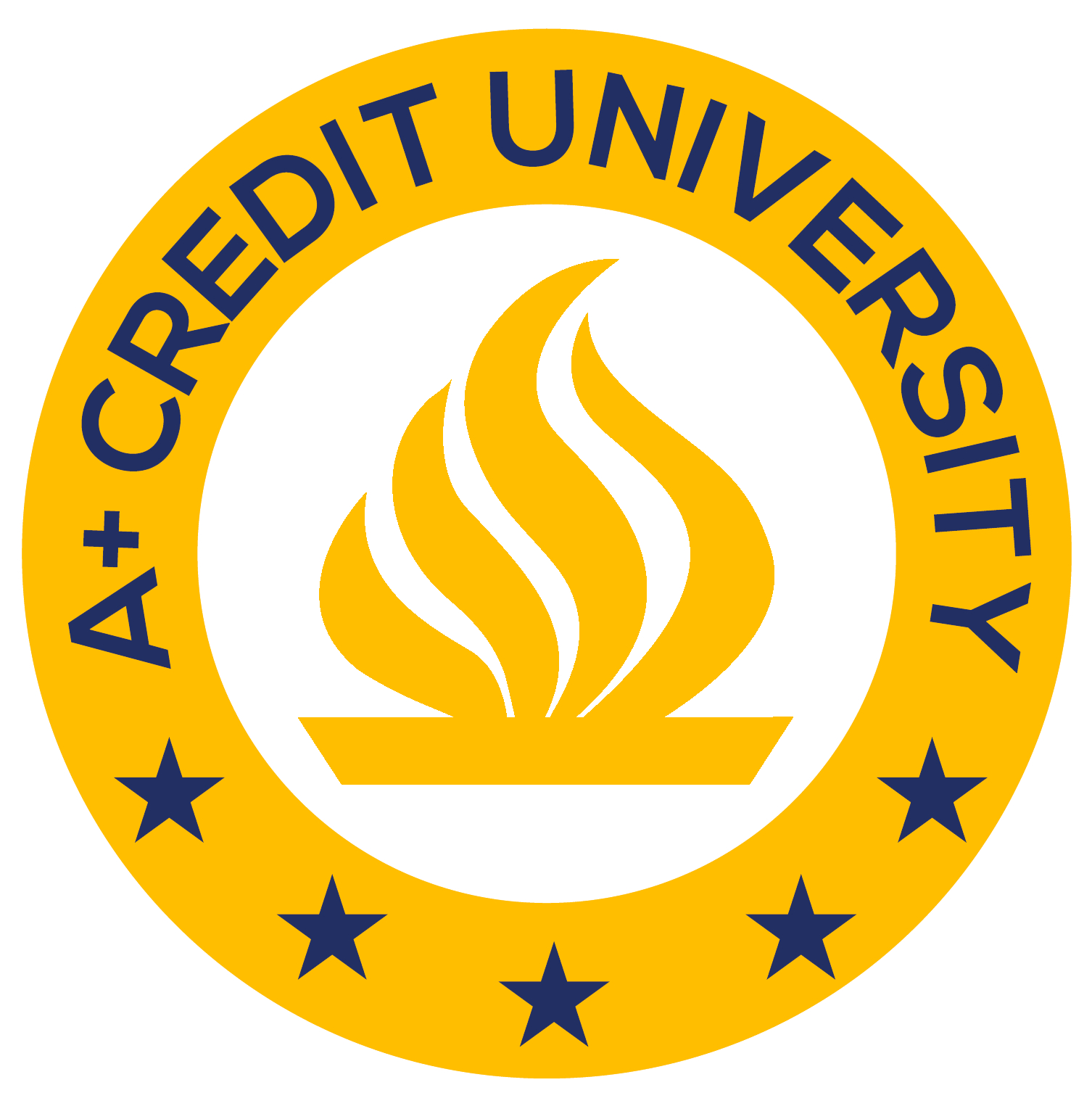 A+ Credit University