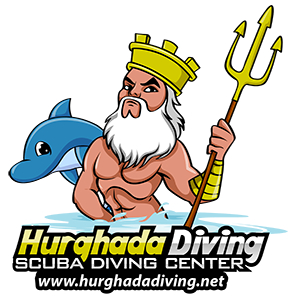 Hurghada Diving | Scuba Diving Center in Hurghada, PADI Courses