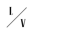 Lady Viking Fitness