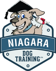 Niagara-Dog-Training.png
