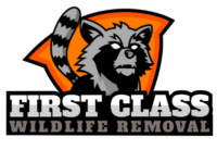 First Class Wildlife Removal