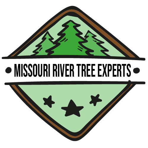 Missouri River Tree Experts