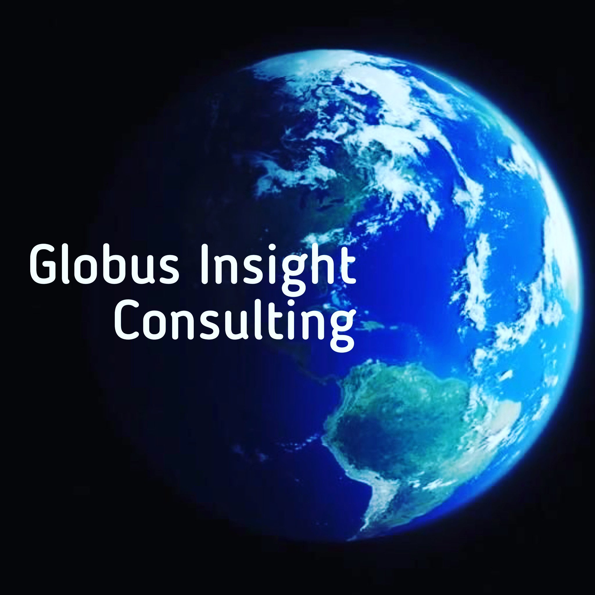 Globus Insight Consulting LLC