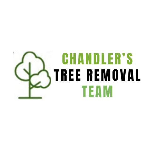 Chandler’s Tree Removal Team