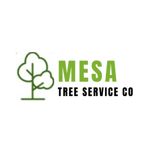 Mesa Tree Service Co