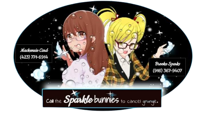 Sparkle Bunnies Home Services