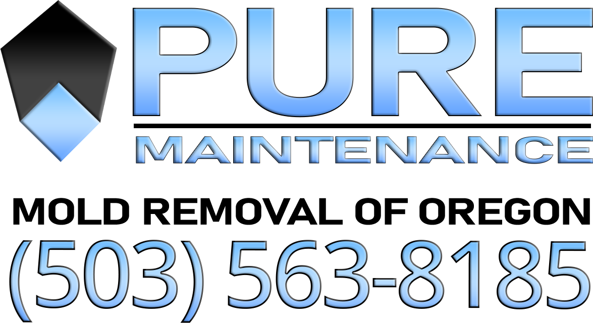 Pure Maintenance Lake Oswego