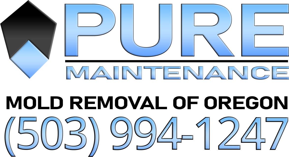 Pure Maintenance Oregon City