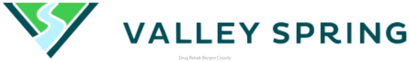 Valley-Spring-Recovery-Center-marked-logo-1.jpg