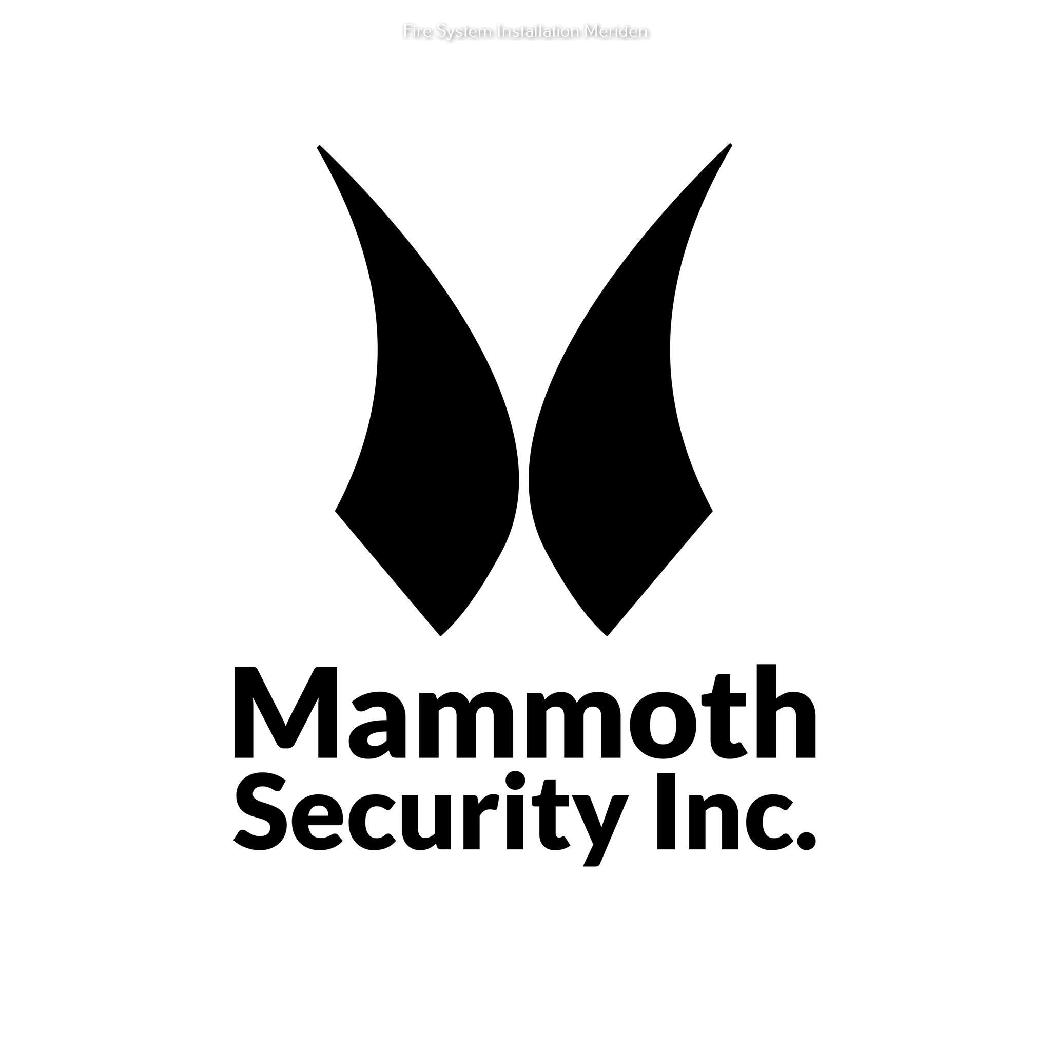 Mammoth Security Inc. Meriden