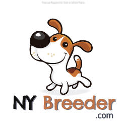 NY Breeder