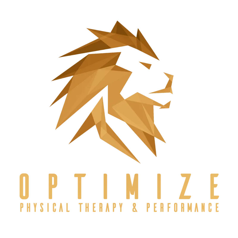 optimize-physical-therapy-las-vegas-henderson-therapist-main-logo-lion.webp