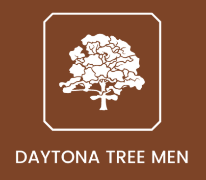 Daytona Tree Men