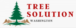 Washington Tree Solution