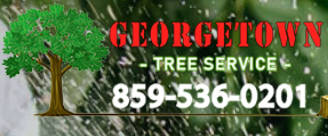 Georgetown Tree Service