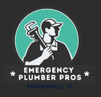 Emergency Plumber Pros