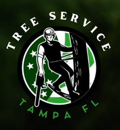 2023-06-29-00_56_22-About-Us-Tree-Service-Tampa-FL.png