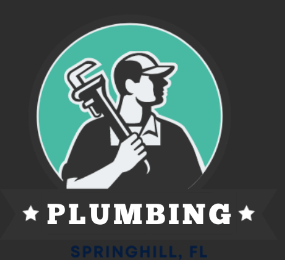 2023-06-29-14_25_55-Home-Plumbing-Spring-Hill-FL.png
