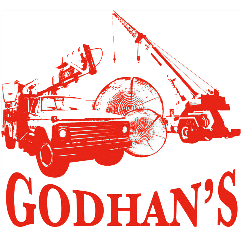 Godhans