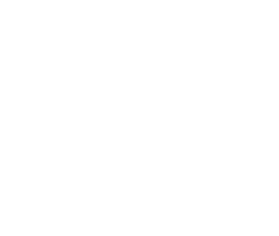 Southern Dumpster Company, LLC