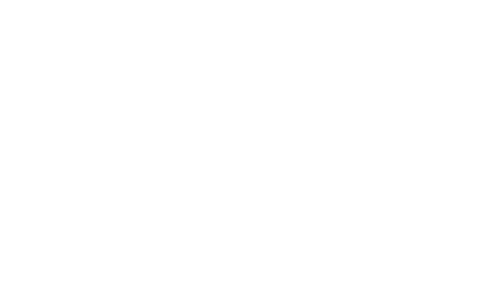 Dumpsters City Inc