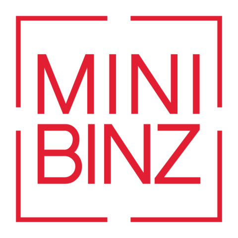 Mini Binz