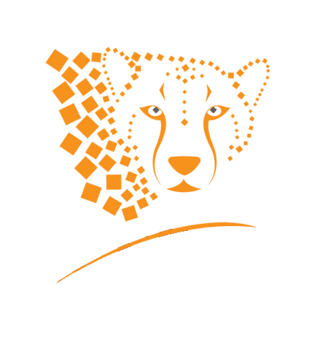 speedy-dumpster-solutions-logo.png